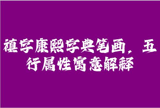 禛字康熙字典笔画，五行属性寓意解释