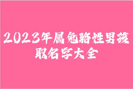 2023年属兔骆姓男孩取名字大全