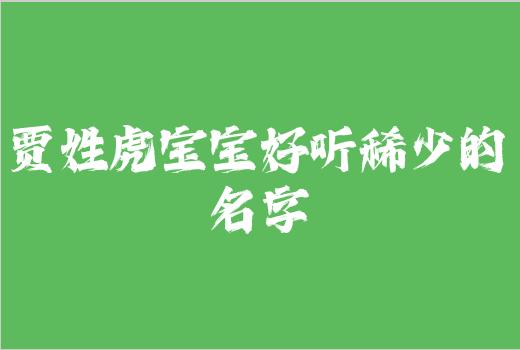 贾姓虎宝宝好听稀少的名字